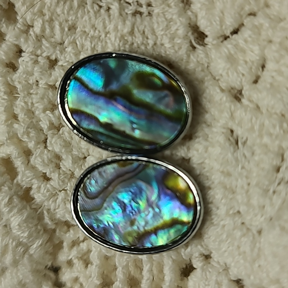 Abalone Shell 10x16mm Oval Earrings Natural Iridescent Blue Green Silver